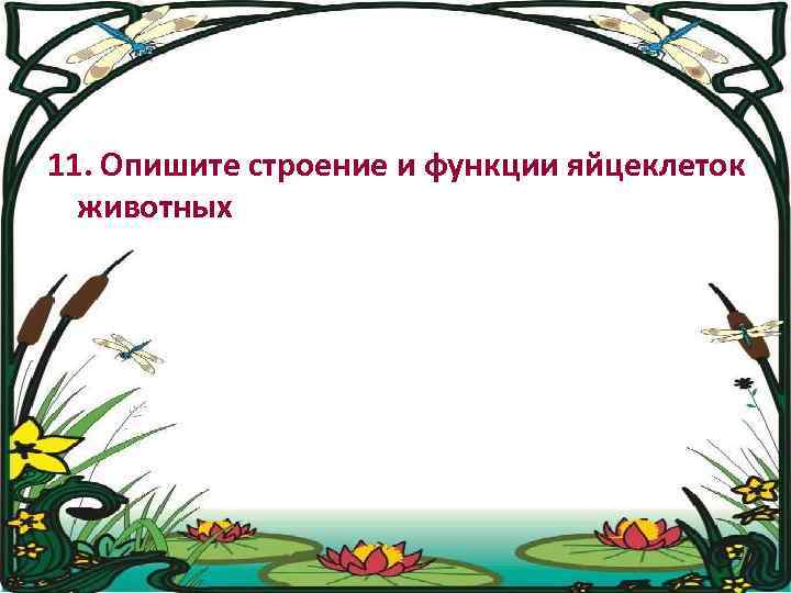 11. Опишите строение и функции яйцеклеток животных 