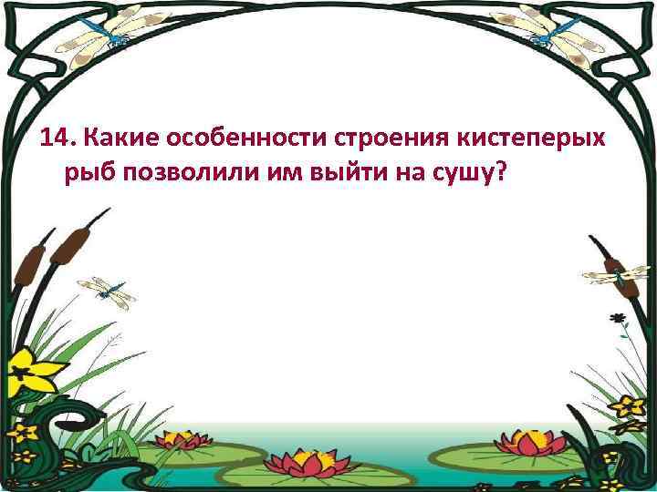 14. Какие особенности строения кистеперых рыб позволили им выйти на сушу? 