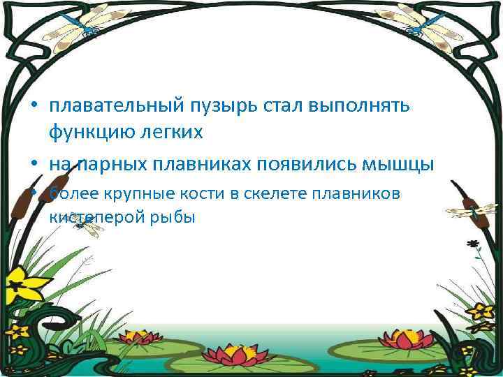  • плавательный пузырь стал выполнять функцию легких • на парных плавниках появились мышцы