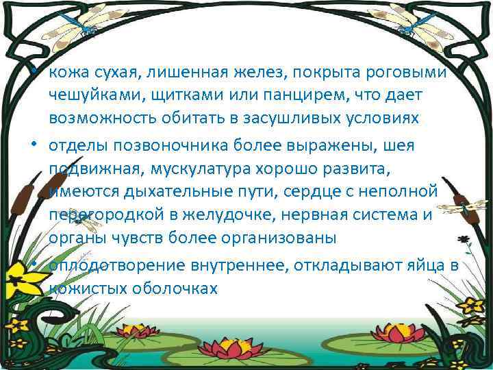  • кожа сухая, лишенная желез, покрыта роговыми чешуйками, щитками или панцирем, что дает