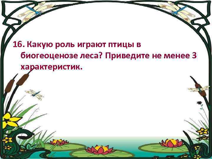 16. Какую роль играют птицы в биогеоценозе леса? Приведите не менее 3 характеристик. 