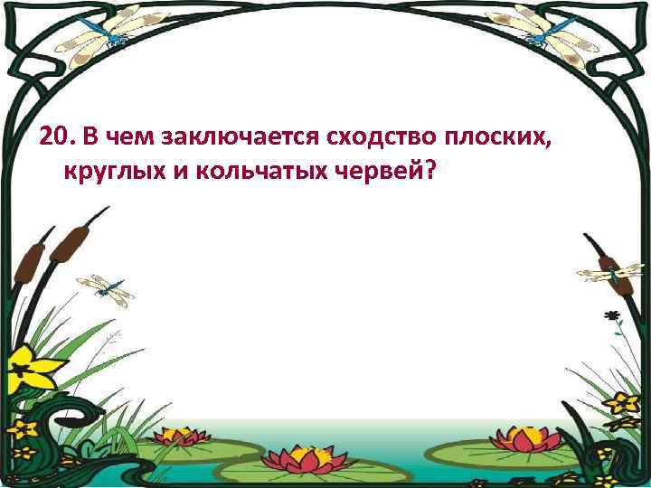 20. В чем заключается сходство плоских, круглых и кольчатых червей? 