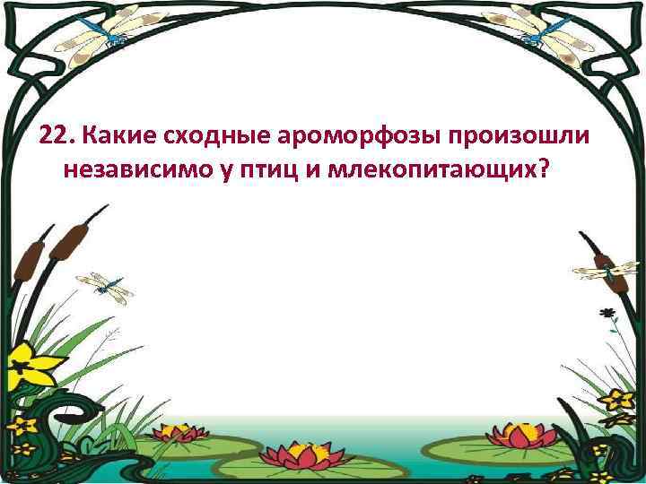 22. Какие сходные ароморфозы произошли независимо у птиц и млекопитающих? 