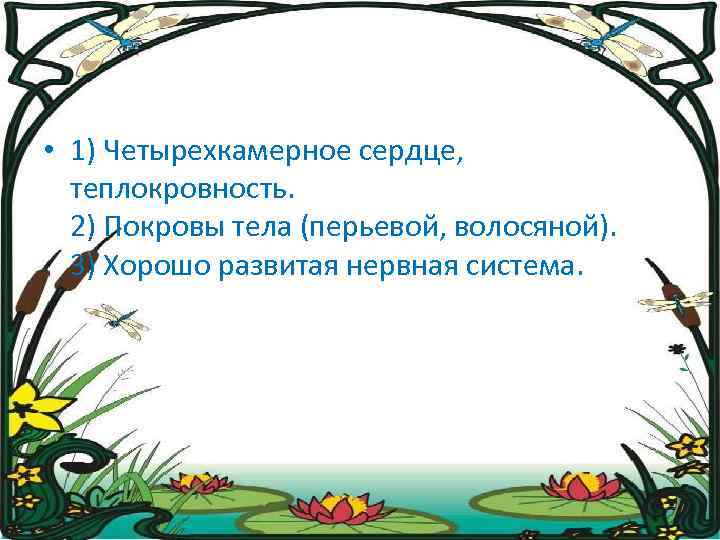  • 1) Четырехкамерное сердце, теплокровность. 2) Покровы тела (перьевой, волосяной). 3) Хорошо развитая