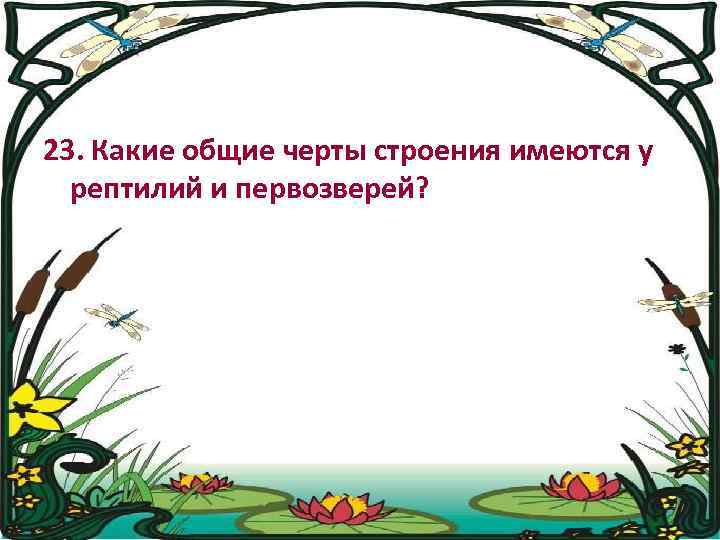 23. Какие общие черты строения имеются у рептилий и первозверей? 