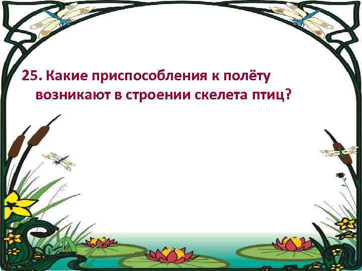 25. Какие приспособления к полёту возникают в строении скелета птиц? 