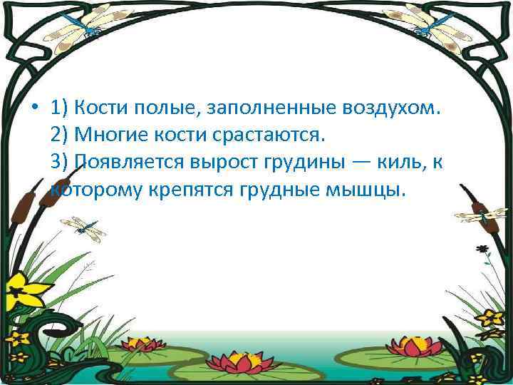  • 1) Кости полые, заполненные воздухом. 2) Многие кости срастаются. 3) Появляется вырост