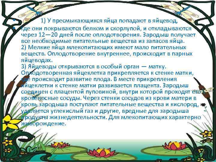  • 1) У пресмыкающихся яйца попадают в яйцевод, • где они покрываются белком