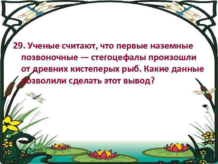 29. Ученые считают, что первые наземные позвоночные — стегоцефалы произошли от древних кистеперых рыб.