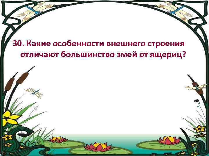 30. Какие особенности внешнего строения отличают большинство змей от ящериц? 