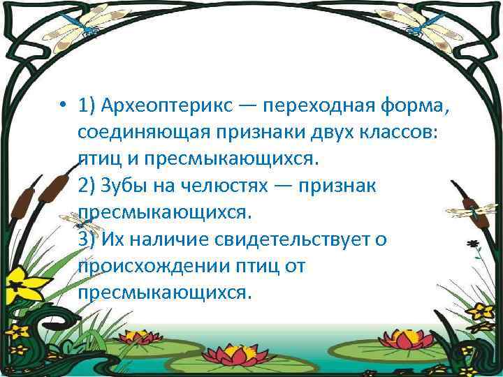  • 1) Археоптерикс — переходная форма, соединяющая признаки двух классов: птиц и пресмыкающихся.