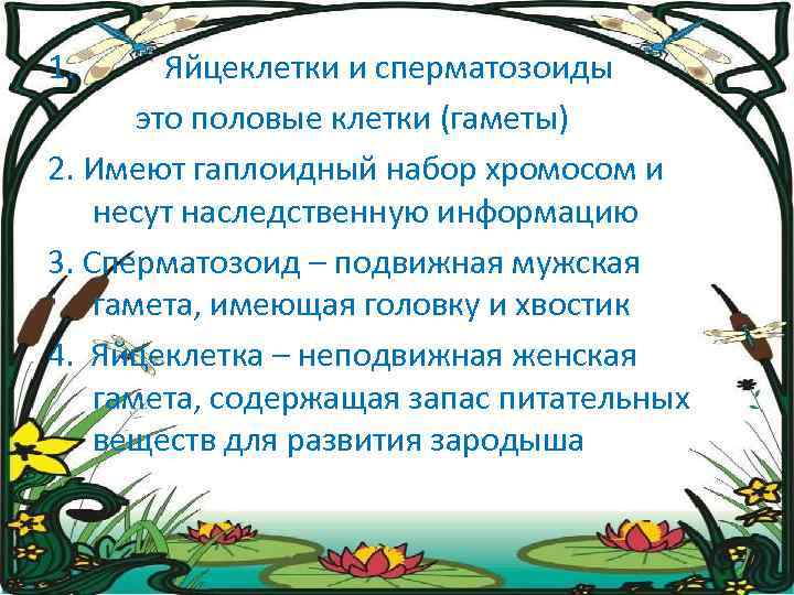 1. Яйцеклетки и сперматозоиды это половые клетки (гаметы) 2. Имеют гаплоидный набор хромосом и