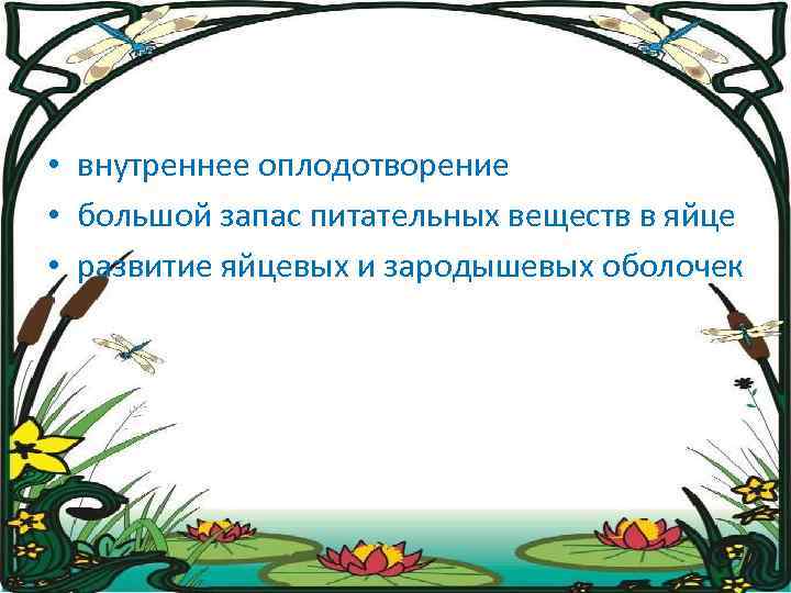  • внутреннее оплодотворение • большой запас питательных веществ в яйце • развитие яйцевых