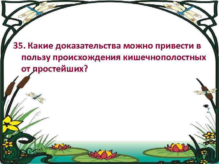 35. Какие доказательства можно привести в пользу происхождения кишечнополостных от простейших? 