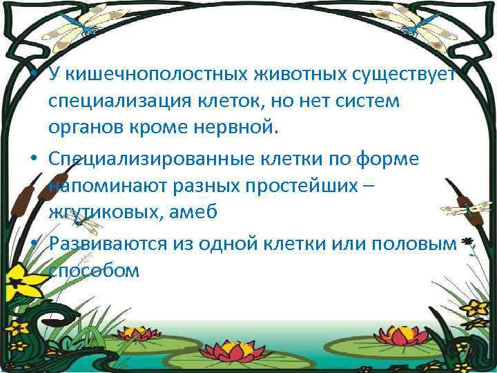  • У кишечнополостных животных существует специализация клеток, но нет систем органов кроме нервной.