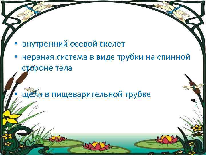  • внутренний осевой скелет • нервная система в виде трубки на спинной стороне