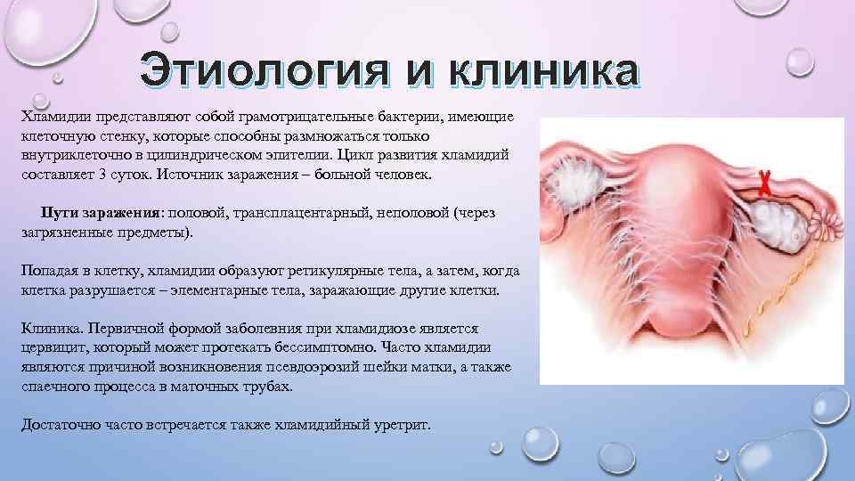 Этиология и клиника Хламидии представляют собой грамотрицательные бактерии, имеющие клеточную стенку, которые способны размножаться