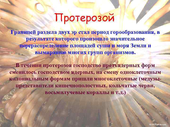 Протерозой Границей раздела двух эр стал период горообразования, в результате которого произошло значительное перераспределение