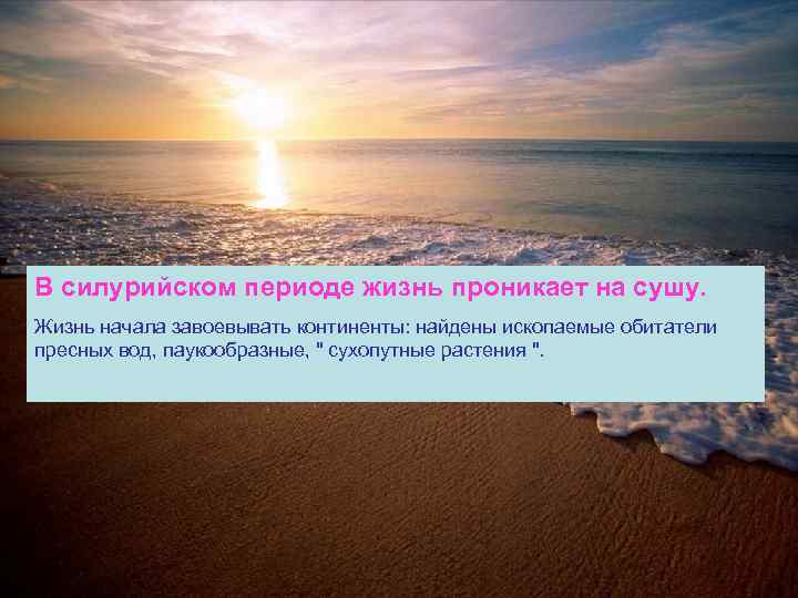 В силурийском периоде жизнь проникает на сушу. Жизнь начала завоевывать континенты: найдены ископаемые обитатели