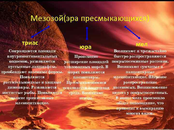 Мезозой(эра пресмыкающихся) триас юра Сокращаются площади внутриконтинентальных Происходит водоемов, развиваются расширение площадей пустынные ландшафты.