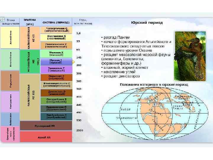Геохронологическая таблица по биологии презентация