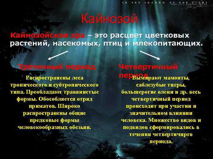 Кайнозойская эра – это расцветковых растений, насекомых, птиц и млекопитающих. Третичный период Распространены леса