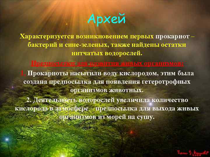 Архей Характеризуется возникновением первых прокариот – бактерий и сине-зеленых, также найдены остатки нитчатых водорослей.