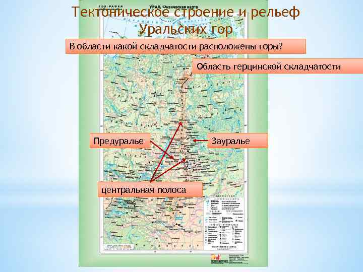 Тектоническое строение и рельеф Уральских гор В области какой складчатости расположены горы? Область герцинской