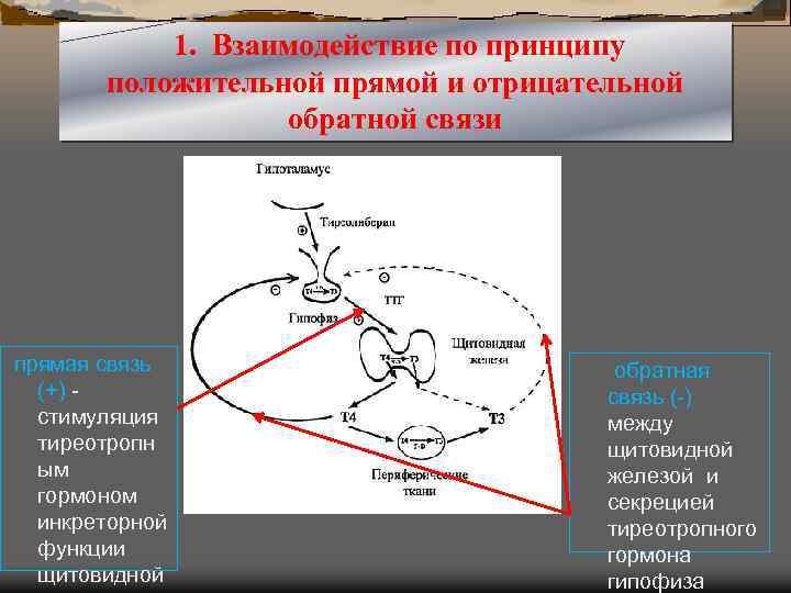 Принципы взаимодействия