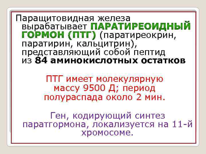 Паращитовидная железа вырабатывает (паратиреокрин, паратирин, кальцитрин), представляющий собой пептид из 84 аминокислотных остатков ПТГ