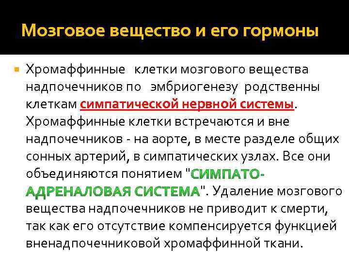 Мозговое вещество и его гормоны Хромаффинные клетки мозгового вещества надпочечников по эмбриогенезу родственны клеткам