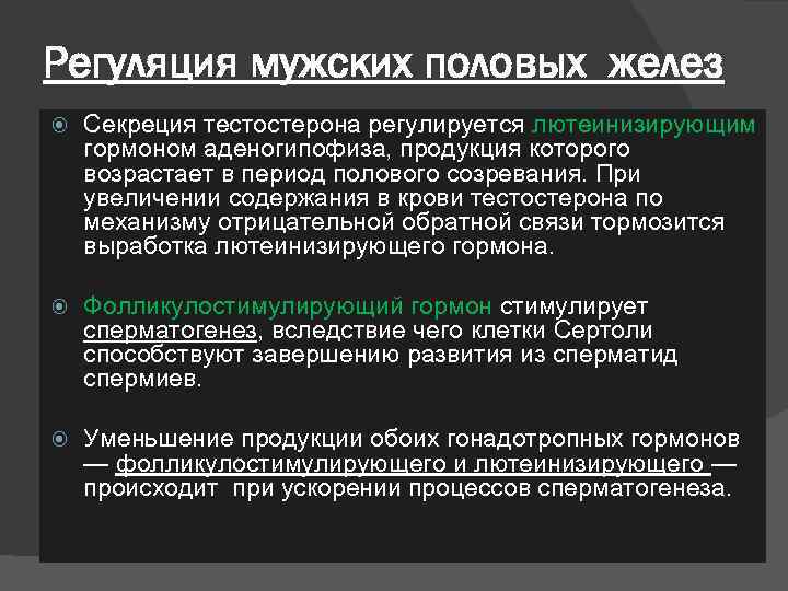 Регуляция мужских половых желез Секреция тестостерона регулируется лютеинизирующим гормоном аденогипофиза, продукция которого возрастает в