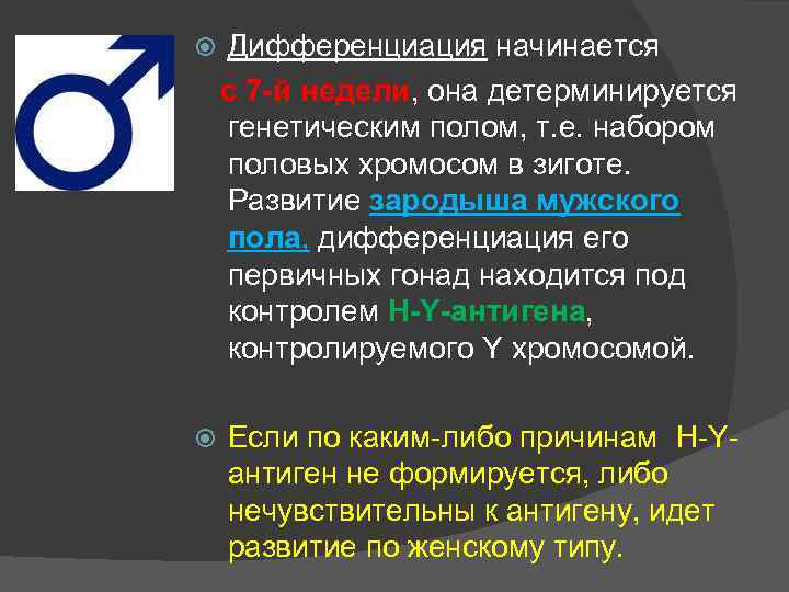Дифференциация начинается с 7 -й недели, она детерминируется генетическим полом, т. е. набором половых