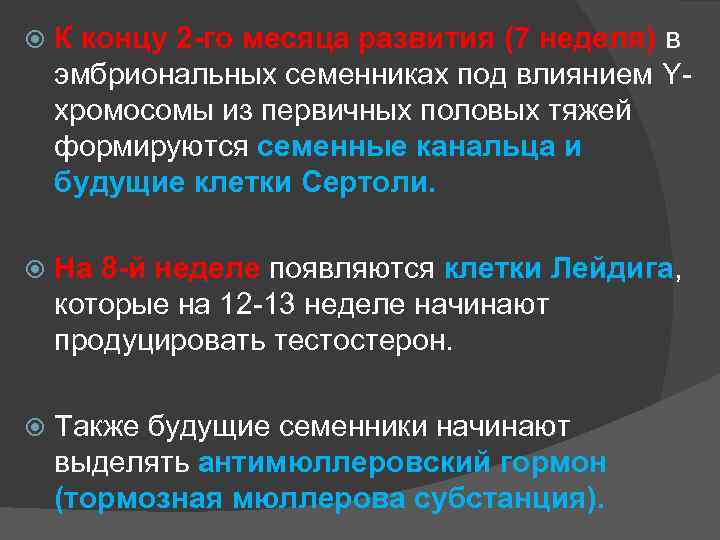  К концу 2 -го месяца развития (7 неделя) в эмбриональных семенниках под влиянием