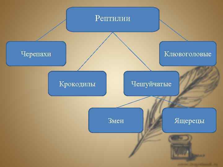 Проект графы и их применение