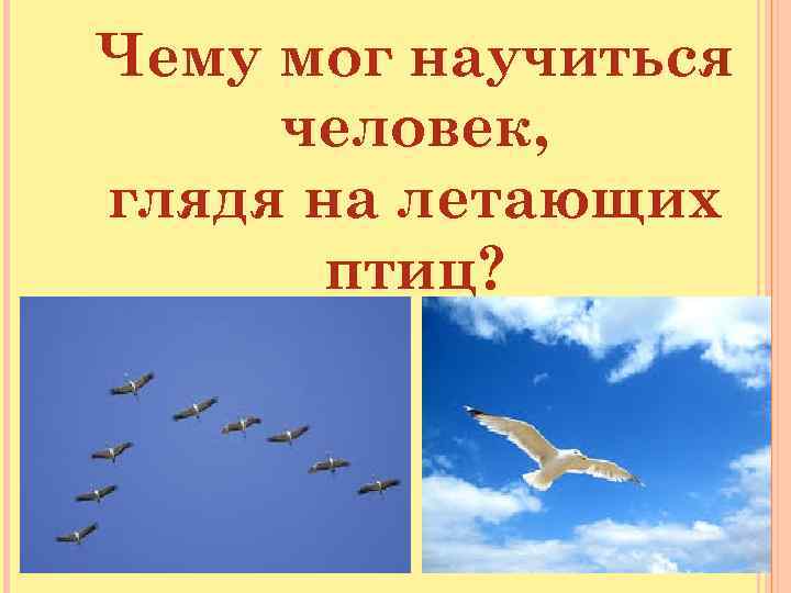 Чему мог научиться человек, глядя на летающих птиц? 