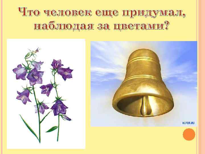 Что человек еще придумал, наблюдая за цветами? 