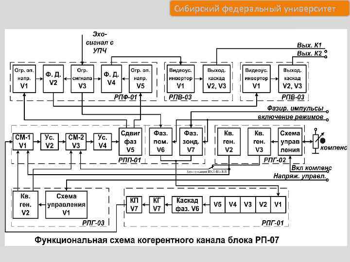 Сибирский федеральный университет 