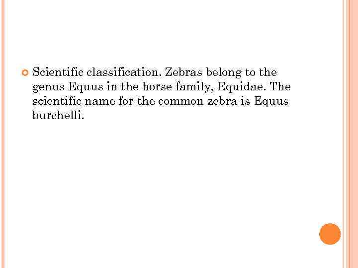  Scientific classification. Zebras belong to the genus Equus in the horse family, Equidae.