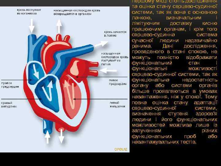 першому місці стоїть дослідження та оцінка стану серцево-судинної системи, так як вона є основною