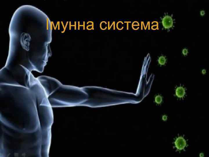 Імунна система 