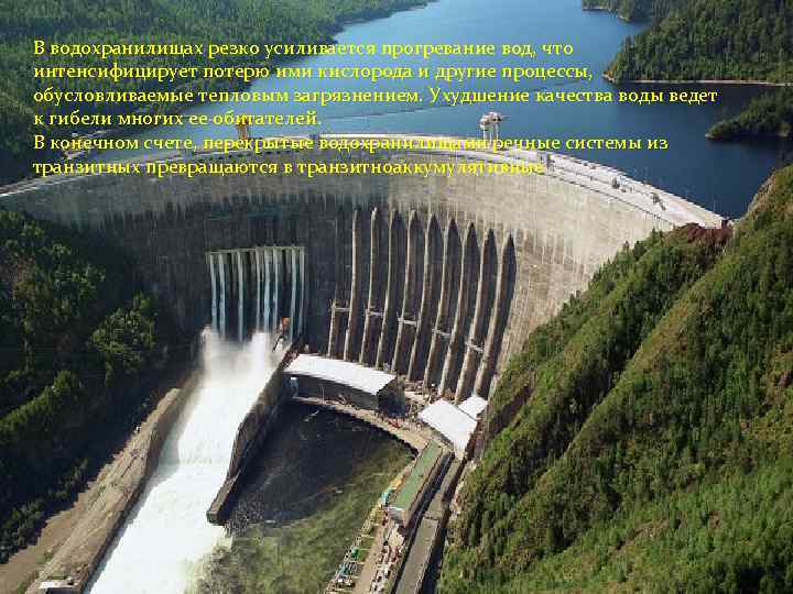 В водохранилищах резко усиливается прогревание вод, что интенсифицирует потерю ими кислорода и другие процессы,