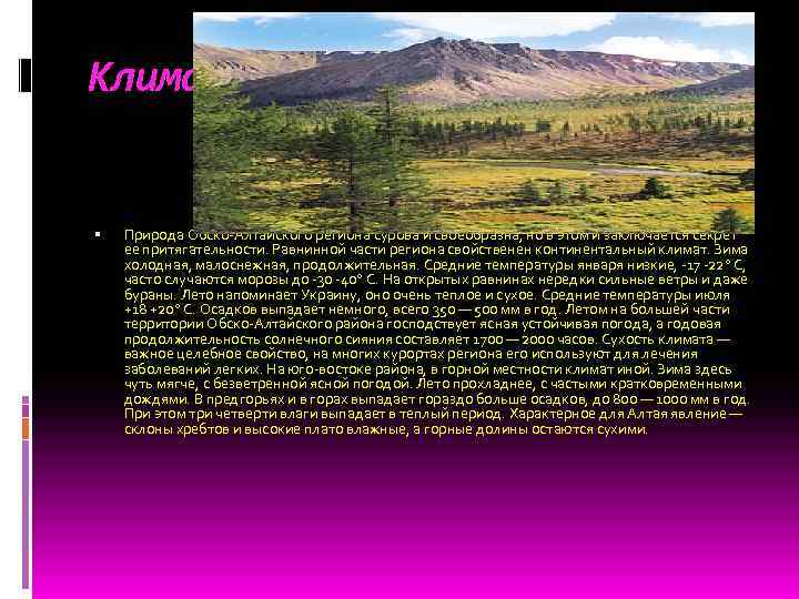 Климат Природа Обско-Алтайского региона сурова и своеобразна, но в этом и заключается секрет ее
