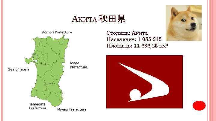 АКИТА 秋田県 Столица: Акита Население: 1 085 945 Площадь: 11 636, 25 км² 