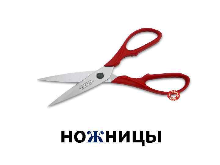 ножницы 