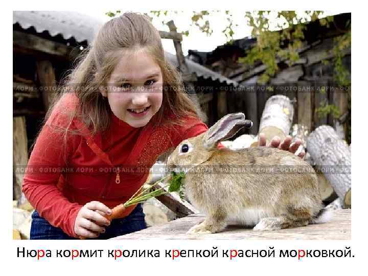 Нюра кормит кролика крепкой красной морковкой. 