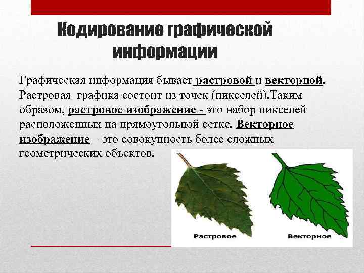 Кодирование графической информации Графическая информация бывает растровой и векторной. Растровая графика состоит из точек