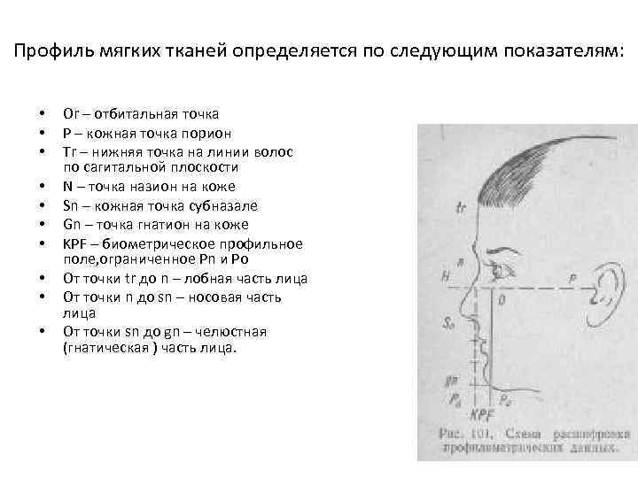 Профиль мягких тканей определяется по следующим показателям: • • • Or – отбитальная точка