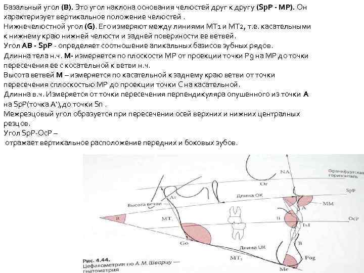 Базальный угол (В). Это угол наклона основания челюстей друг к другу (Sp. Р МР).