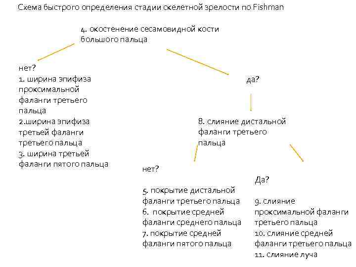  Схема быстрого определения стадии скелетной зрелости по Fishman 4. окостенение сесамовидной кости большого